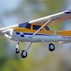 Planes FMS Fms 1220Mm Ranger W/Reflex Sys & Float Rtf